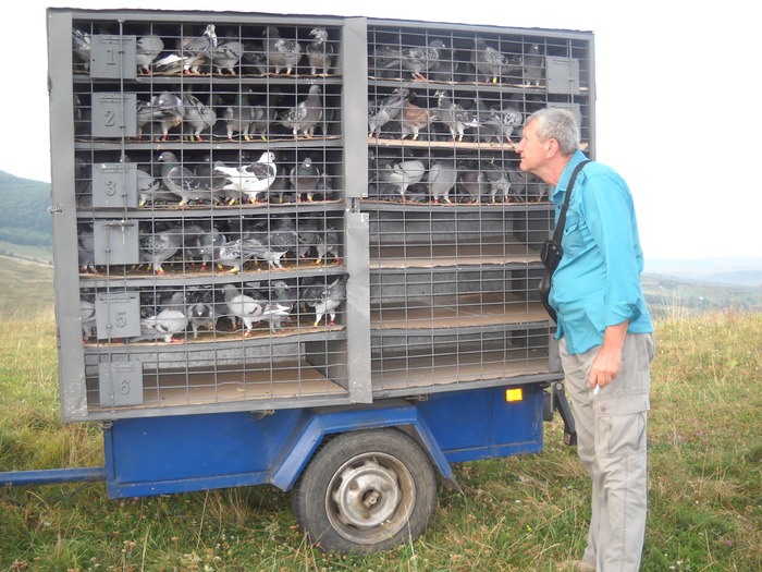 un ultim studiu..si...