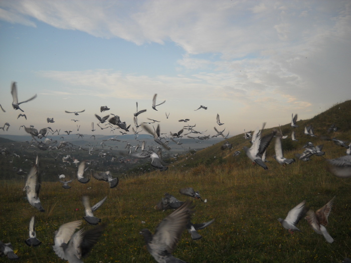 un stol.... - lansare Herina 2010