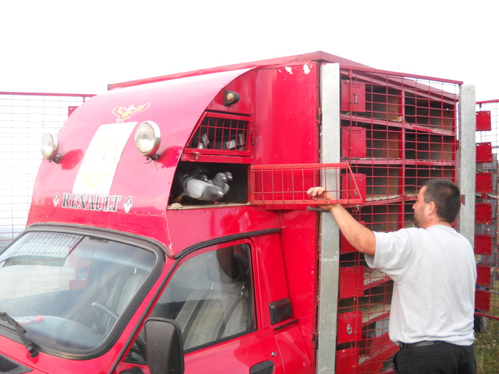 au ramas cateva pe fata.