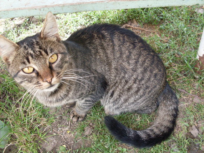 SDC13807; sunt frumos
