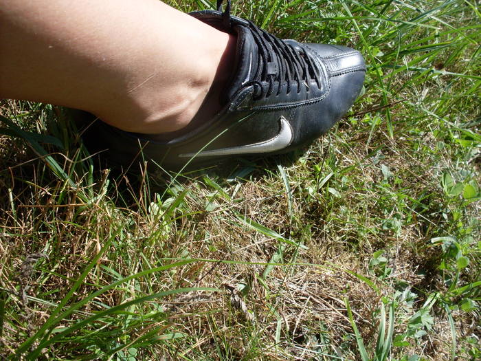 SDC13834 - Poze facute de mine