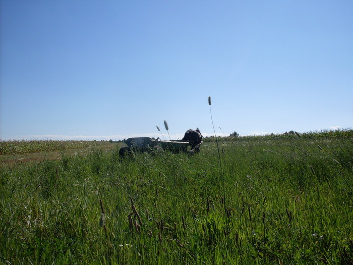 SDC13840 - Poze facute de mine