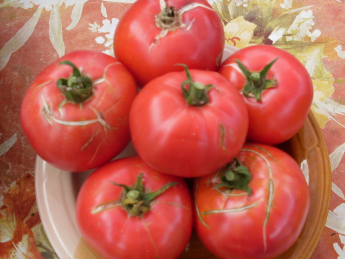 SDC13892 - Poze facute de mine