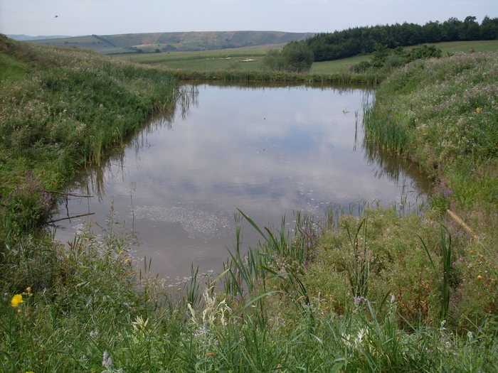 SDC13932 - Poze facute de mine