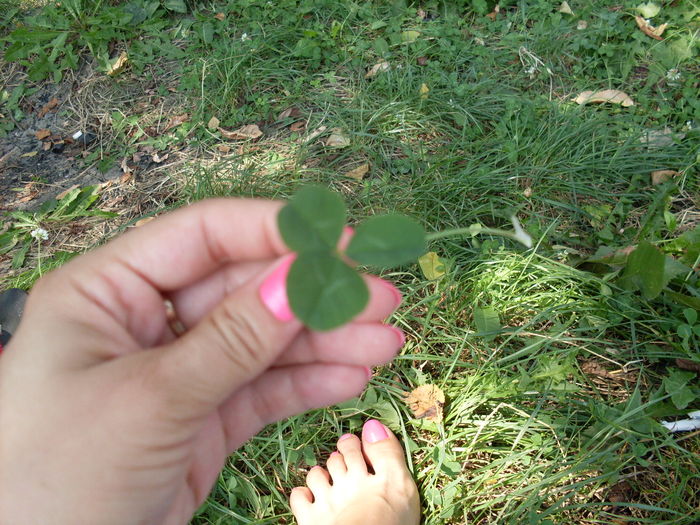 SDC13723 - Poze facute de mine