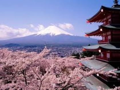 images - Japonia