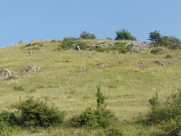 istrita 2010