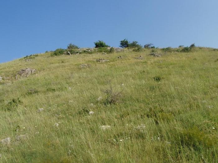istrita 2010