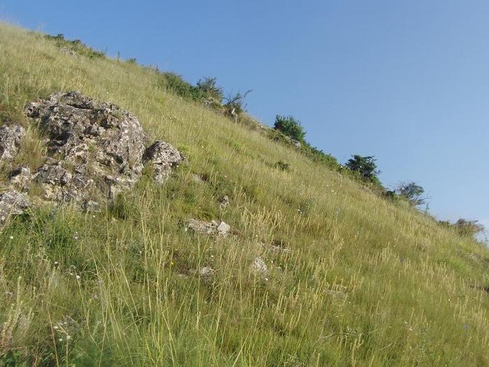 istrita 2010