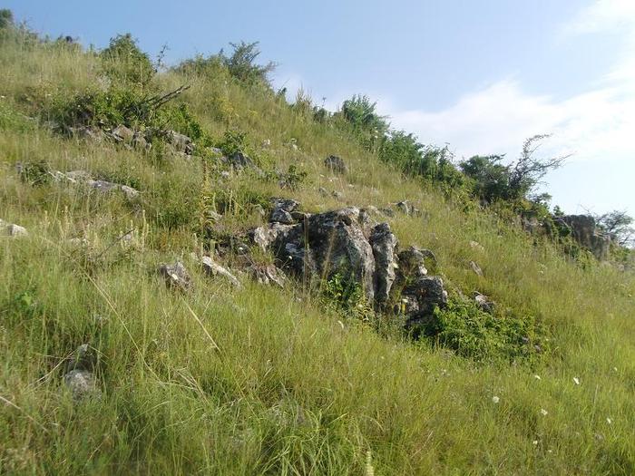istrita 2010