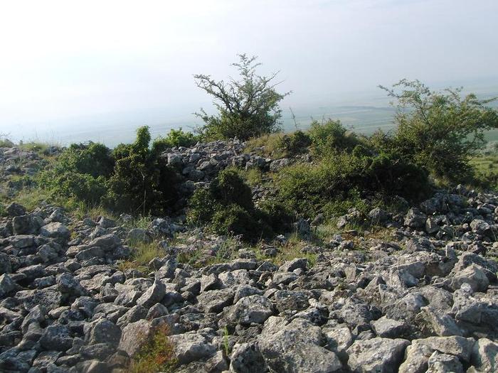 istrita 2010