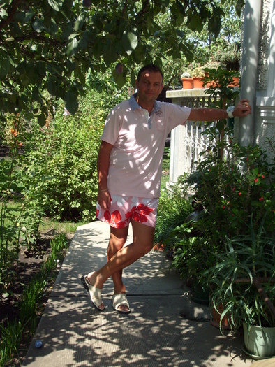 eu in gradina - Florile din gradina casei-2010-2011