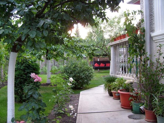 gradina mea; o parte din curtea casei...
