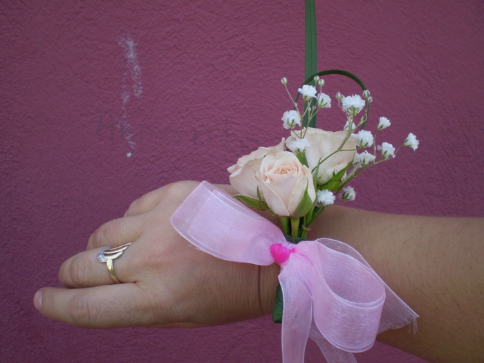 P6050701 - Cocarde si bratari