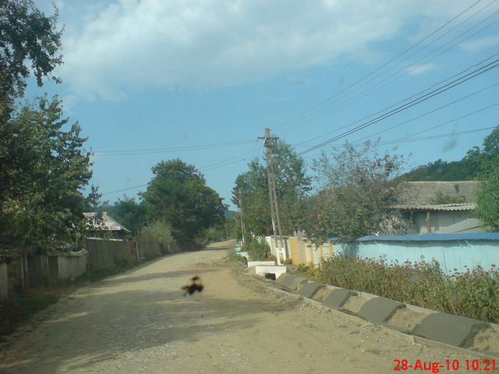 DSC03765 - COM VALEA SEACA