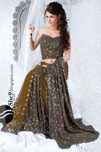 Fancy Saree Collection www_She9_blogspot_com (15)