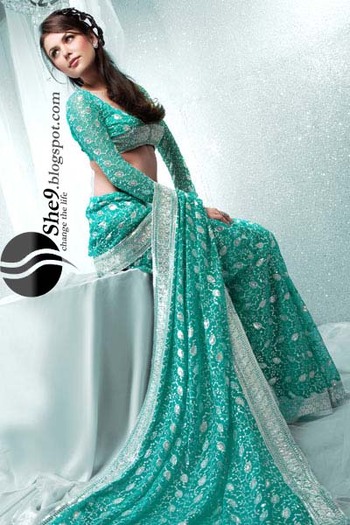 Fancy Saree Collection www_She9_blogspot_com (24) - Sariuri SUPERBE