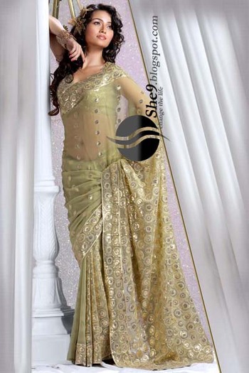 Fancy Saree Collection www_She9_blogspot_com (31) - Sariuri SUPERBE