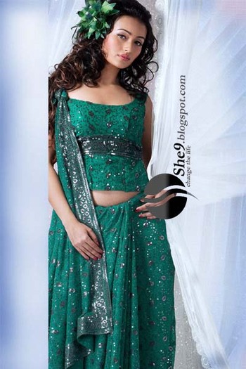 Fancy Saree Collection www_She9_blogspot_com (34)