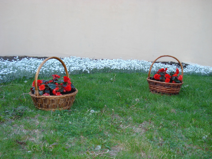 DSC08112 - 2010 BULGARIA 1 MAI