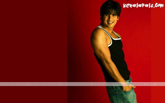 shahid-kapoor-wallpapers001