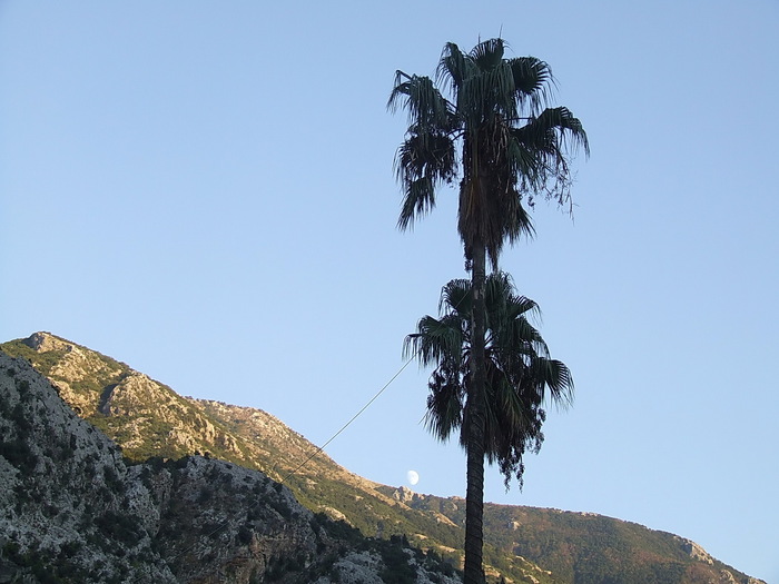 DSCF4372 - Concediu 2010