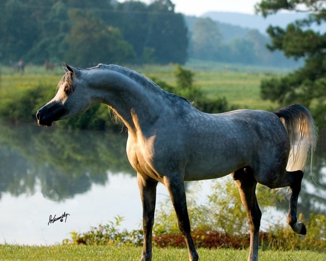 Scapa-8.14.09_DSC0238-1024x819