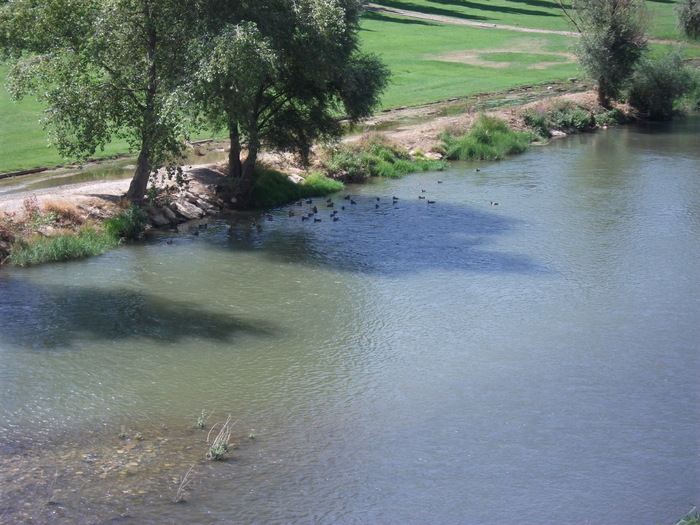 Picture 048 - lleida sp