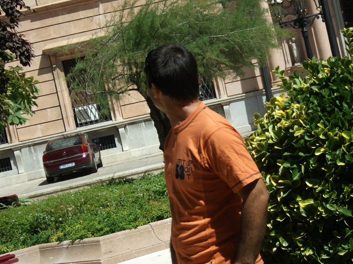 Picture 141
