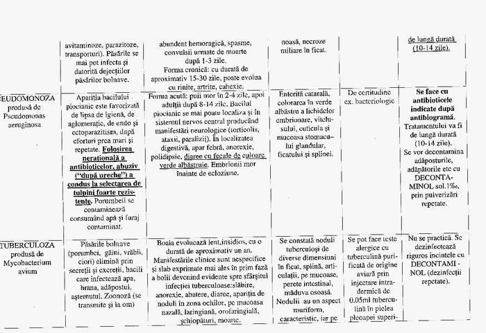 7 - Compendium columbofil