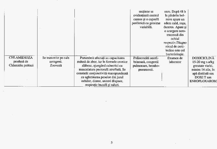 8 - Compendium columbofil