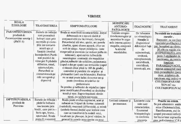 9 - Compendium columbofil