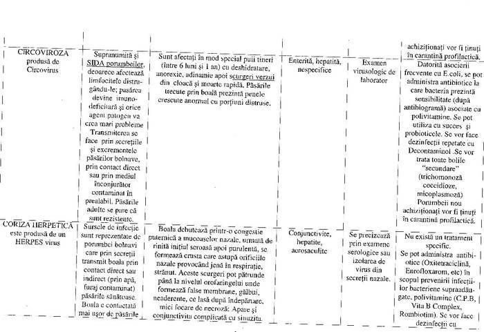 11 - Compendium columbofil