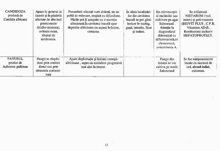 14 - Compendium columbofil