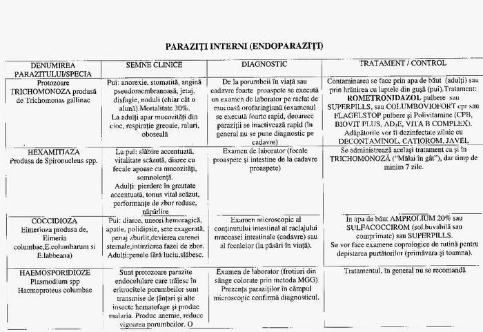 17 - Compendium columbofil