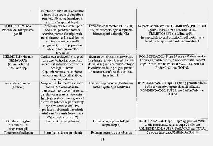 18 - Compendium columbofil