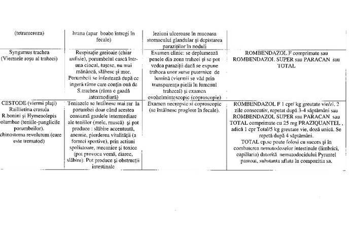 19 - Compendium columbofil