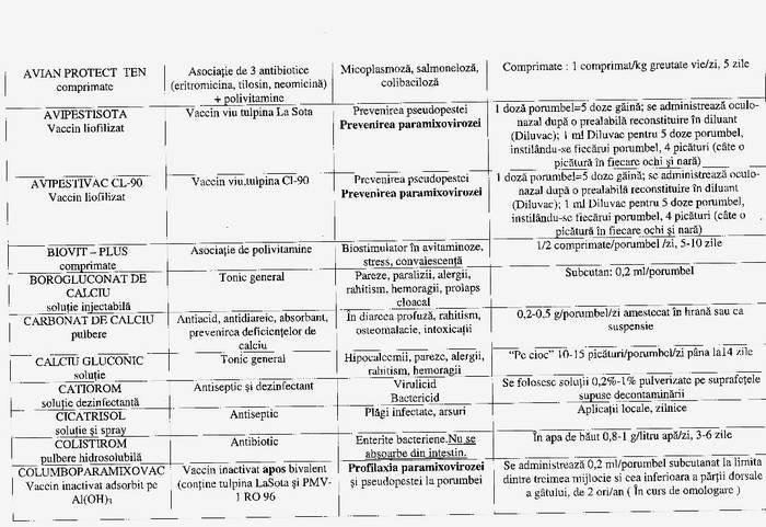 21 - Compendium columbofil