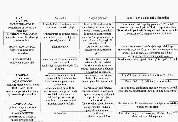 27 - Compendium columbofil