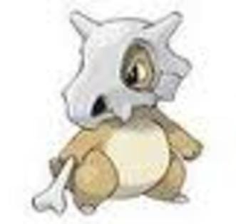 XV3CAZLZ8HDCA13G4FRCA9ZO54WCARYI459CAJLJ498CAGZBCMTCA6NKD39CARQ01Y2CAMFG9YXCA5UZXHUCA3IJ2M0CA25RSKXC - cubone