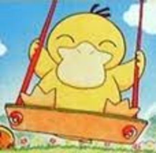 R7CCA2B1L - psyduck