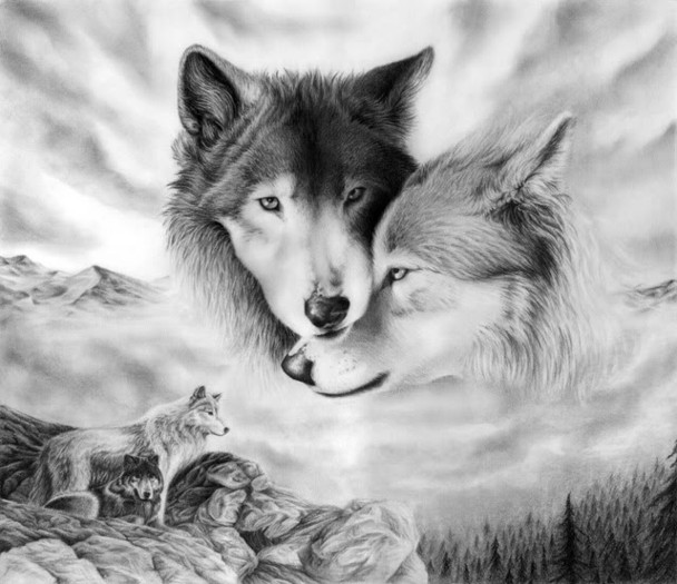 Wolf_Maters - Poze Animale