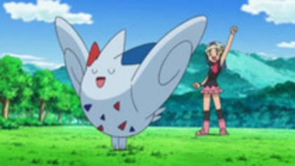 13544153_ZSGMQPJSZ - 0-0pokemon