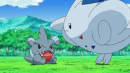 13544233_XPJORCSWB - 0-0pokemon