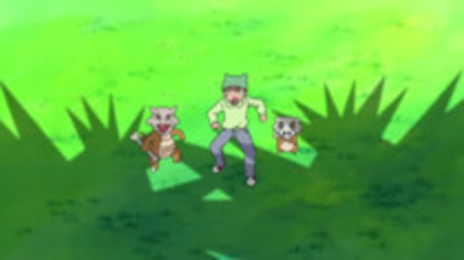 13907607_YWFFFVJLQ - 0-0pokemon