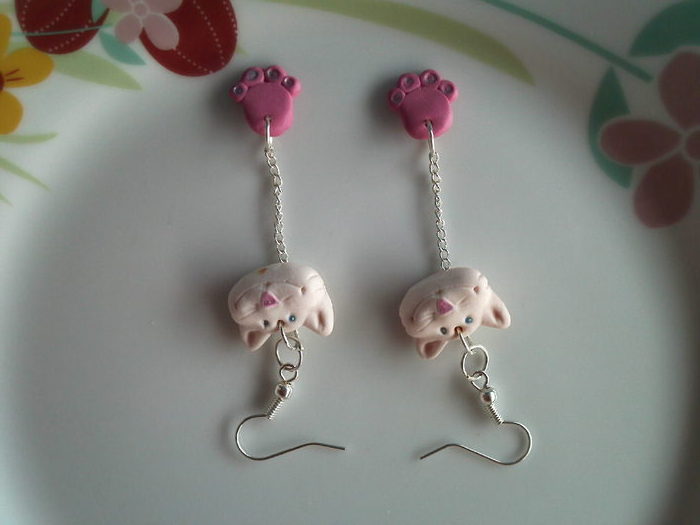 IMG2721CERCEI FIMO PISICUTA PRET 15 LEI; CECEI FIMO PISICUTA SI LABUTE
