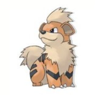 17091537_ZLXZWFGBN - 0-0pokemon