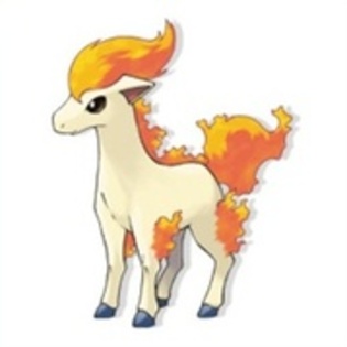 17091541_RCWFAZRRL - 0-0pokemon