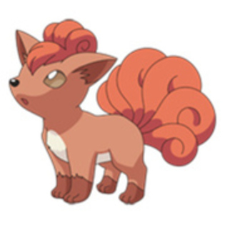 17091545_COOOSZDFD - 0-0pokemon