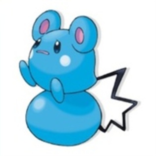 17147655_MZRAPCKJN - 0-0pokemon